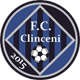 Academica Clinceni II