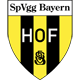 SpVgg Bayern Hof Männer