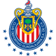 Deportivo Guadalajara U14