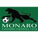 Monaro Panthers