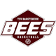 TSV Bargteheide Bees