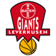 Bayer Giants Leverkusen