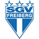 SGV Freiberg U19