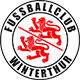 FC Winterthur U19