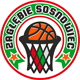 Zagłębie Sosnowiec
