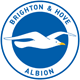 Brighton & Hove Albion Männer