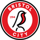 Bristol City Männer