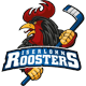 Iserlohn Roosters Männer