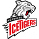 Nürnberg Ice Tigers