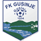 FK Gusinje