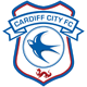 Cardiff City Männer