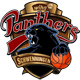 Black Forest Panthers