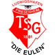 TSG Friesenheim