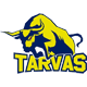 BC Rakvere Tarvas