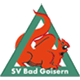 SV Bad Goisern