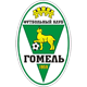 FK Gomel U19