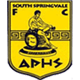 South Springvale FC