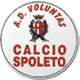 Voluntas Spoleto