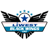 Steinbach Black Wings Linz