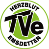 TV Emsdetten
