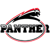 Düsseldorf Panther