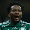 Zé Roberto