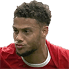 Rudy Gestede