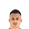 Sebastian Gessl