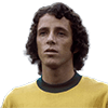 Dirceu