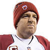 Carson Palmer