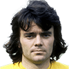Werner Haaga