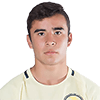 Fernando Illescas