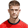 Jelle Goselink