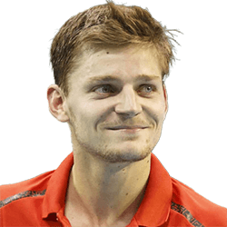 David Goffin