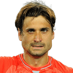 David Ferrer