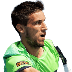 Damir Džumhur