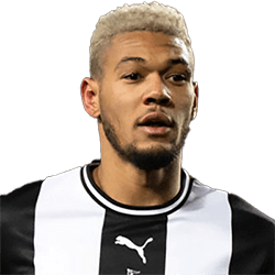 Joelinton