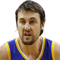 Andrew Bogut
