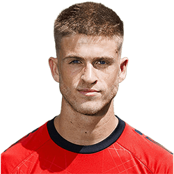 Jelle Goselink