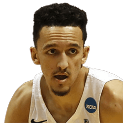 Landry Michael Shamet