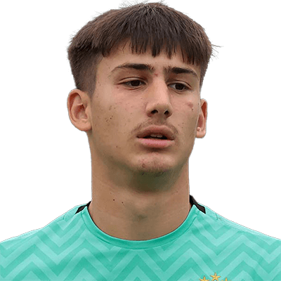 Vuk Draškić