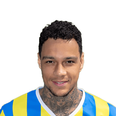 Gregory van der Wiel