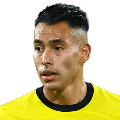 Sergio Araujo