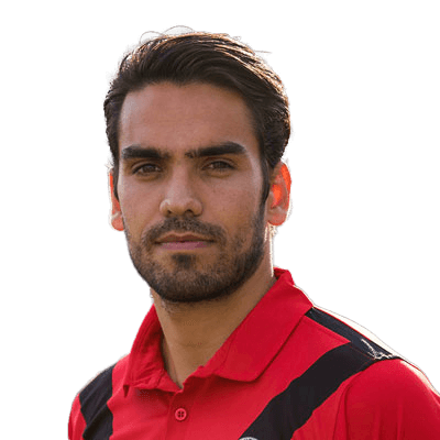 Milan Hoek