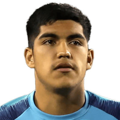 Nicolás Araya