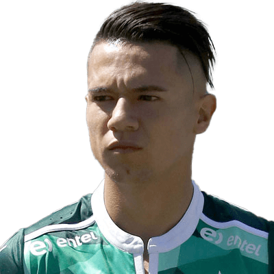 Matías Fernández