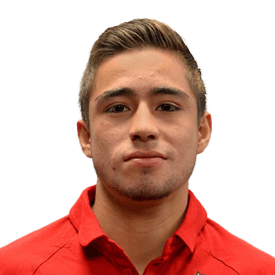 Luis Gamíz