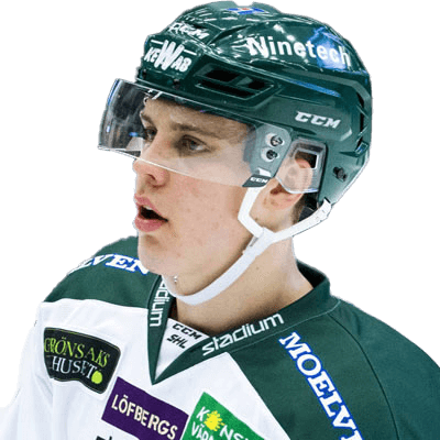 Joel Eriksson Ek