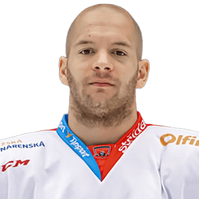 Mislav Rosandic