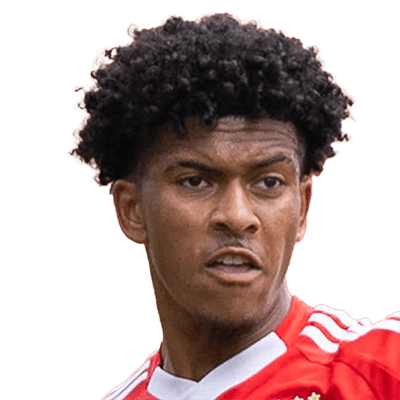 Joshua Wynder